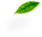image_feathers3